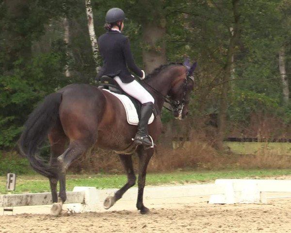 Reitturnier Olfen-Vinnum 2019