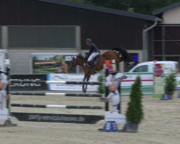 Reitturnier Olfen-Vinnum 2019