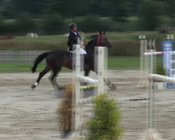 Reitturnier Schülp / Rendsburg 2019
