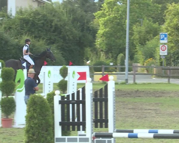 Reitturnier Langenthal 2019