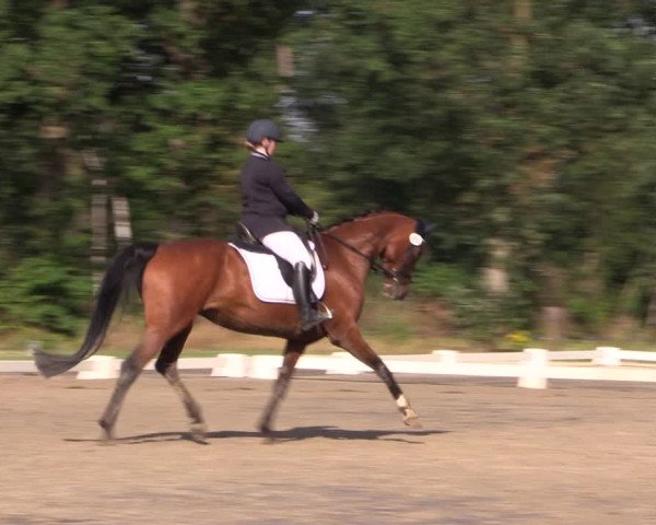Reitturnier Olfen-Vinnum 2019