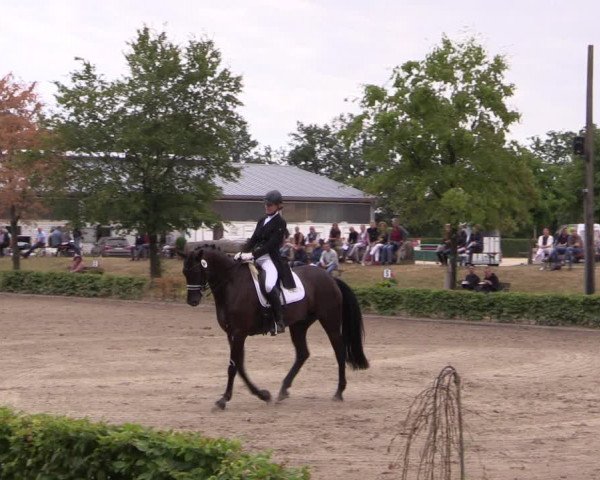 Reitturnier Olfen-Vinnum 2019