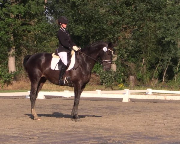 Reitturnier Olfen-Vinnum 2019