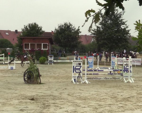 Reitturnier Ascheberg 2021