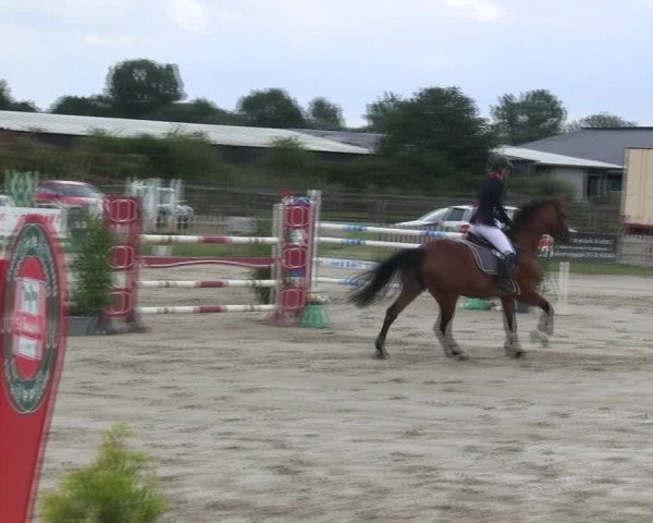 Reitturnier Schülp / Rendsburg 2019