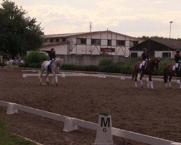 Reitturnier Dallgow 2019