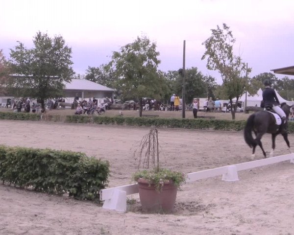 Reitturnier Olfen-Vinnum 2019