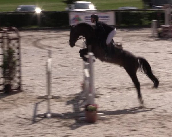 Reitturnier Monschau-Mützenich 2019