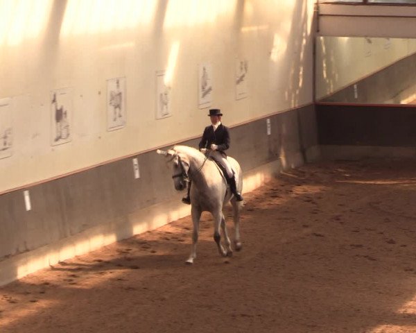 Reitturnier Dallgow 2019
