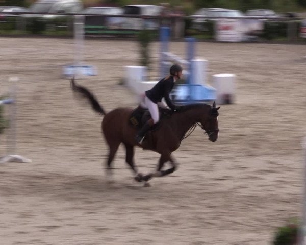 Reitturnier Monschau-Mützenich 2019