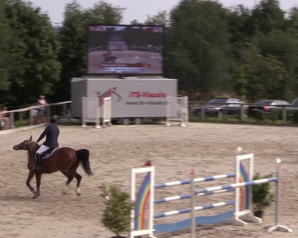 Reitturnier Monschau-Mützenich 2019