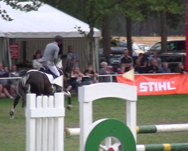 Reitturnier Zobbenitz 2019