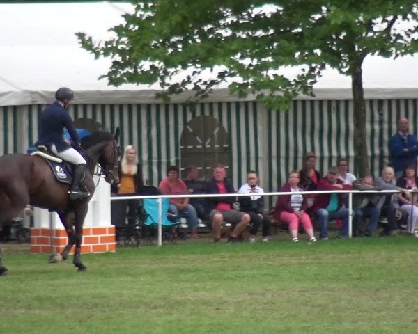 Reitturnier Zobbenitz 2019