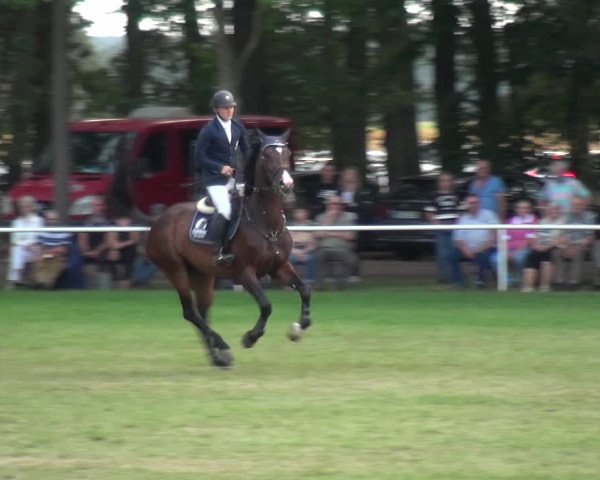 Reitturnier Zobbenitz 2019