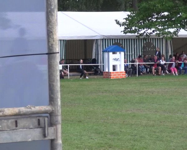 Reitturnier Zobbenitz 2019