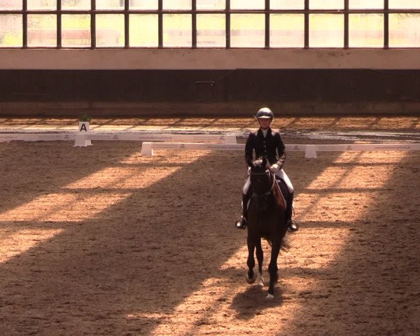 Reitturnier Dallgow 2019