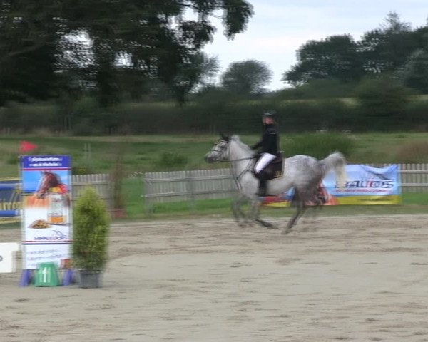 Reitturnier Schülp / Rendsburg 2019