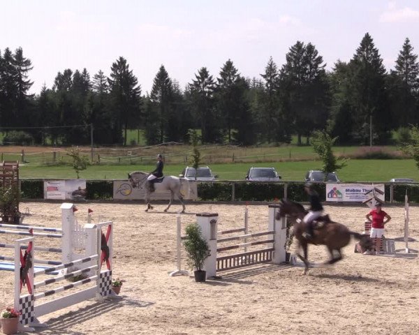 Reitturnier Monschau-Mützenich 2019