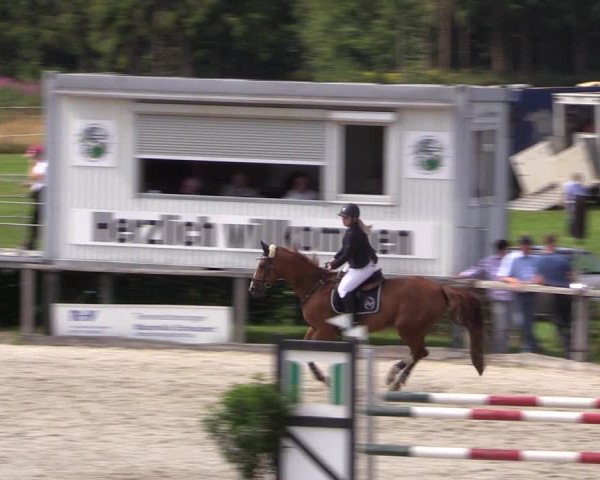 Reitturnier Monschau-Mützenich 2019