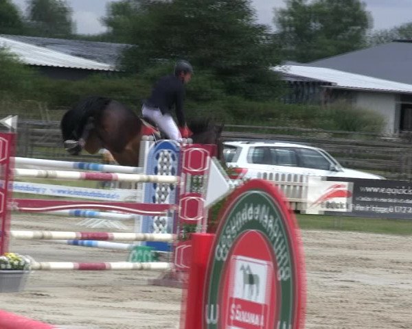 Reitturnier Schülp / Rendsburg 2019