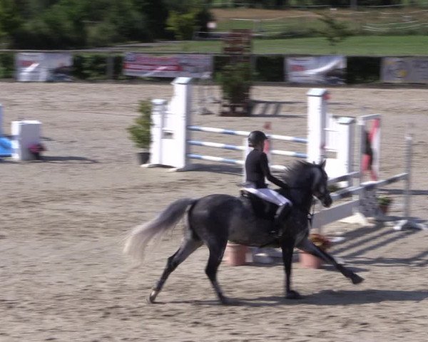 Reitturnier Monschau-Mützenich 2019