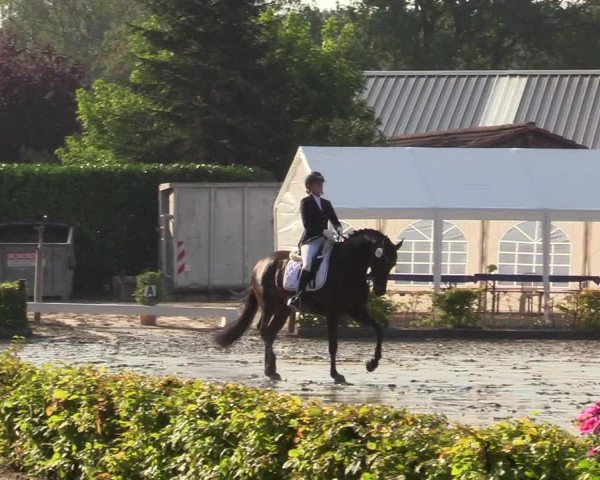 Reitturnier Olfen-Vinnum 2019