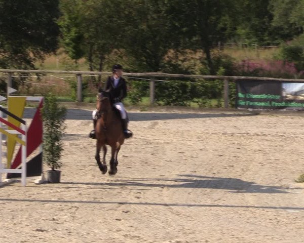 Reitturnier Monschau-Mützenich 2019