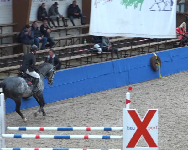 Reitturnier Sögel 2021