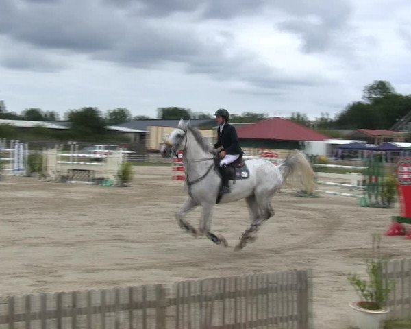 Reitturnier Schülp / Rendsburg 2019