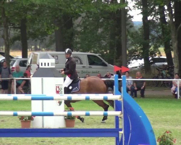 Reitturnier Zobbenitz 2019