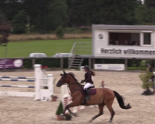 Reitturnier Monschau-Mützenich 2019
