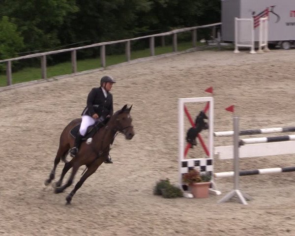 Reitturnier Monschau-Mützenich 2019