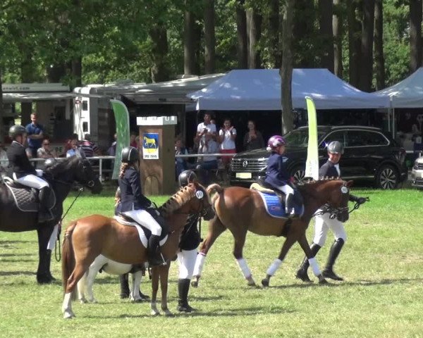 Reitturnier Zobbenitz 2019