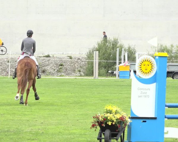 Reitturnier St. Moritz 2019