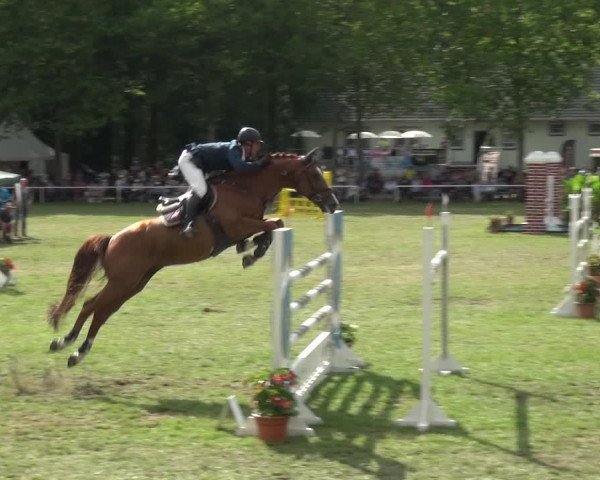 Reitturnier Zobbenitz 2019