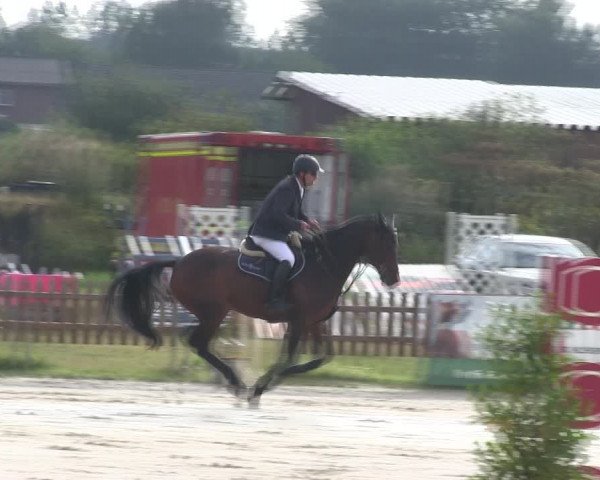 Reitturnier Schülp / Rendsburg 2019