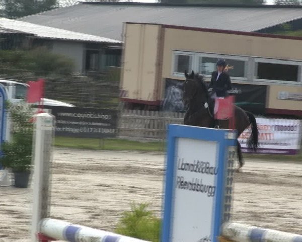 Reitturnier Schülp / Rendsburg 2019