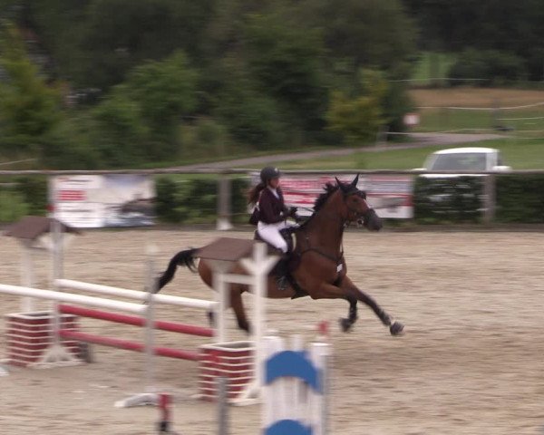 Reitturnier Monschau-Mützenich 2019