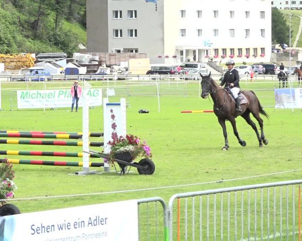 Reitturnier St. Moritz 2019