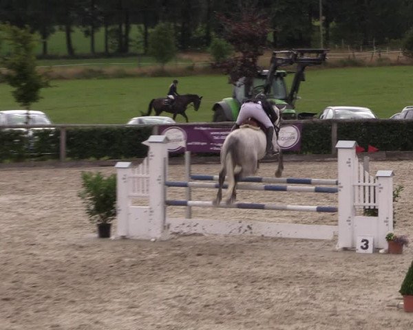Reitturnier Monschau-Mützenich 2019