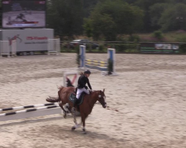 Reitturnier Monschau-Mützenich 2019