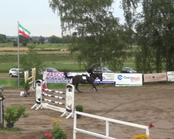 Reitturnier Neuss-Uedesheim 2019