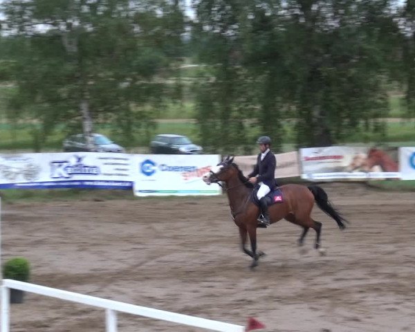 Reitturnier Neuss-Uedesheim 2019