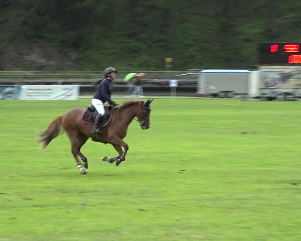 Reitturnier St. Moritz 2019