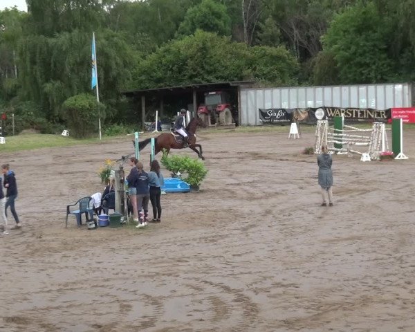 Reitturnier Neuss-Uedesheim 2019