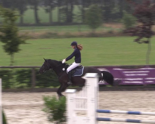 Reitturnier Monschau-Mützenich 2019