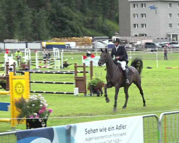 Reitturnier St. Moritz 2019