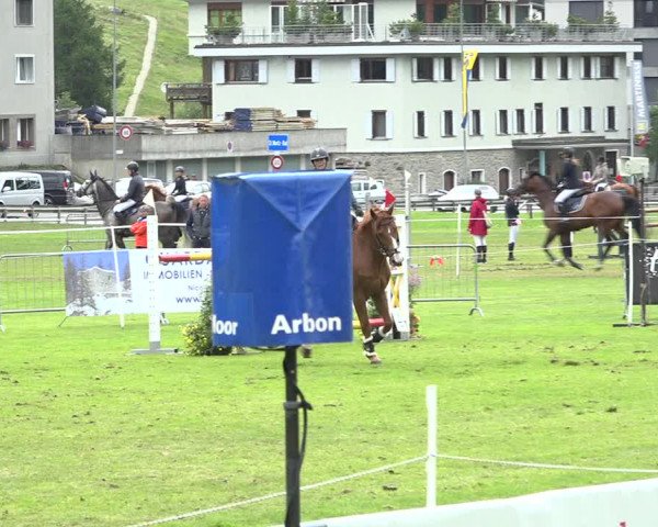 Reitturnier St. Moritz 2019