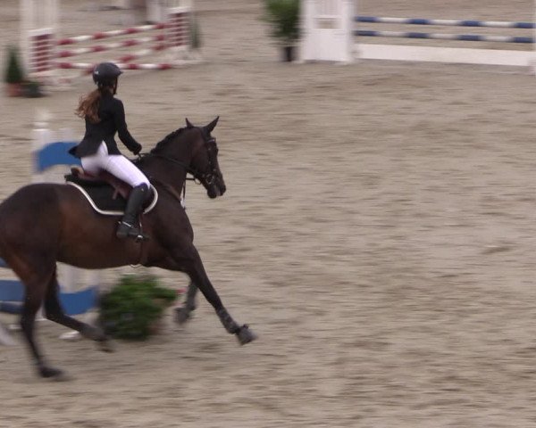 Reitturnier Monschau-Mützenich 2019