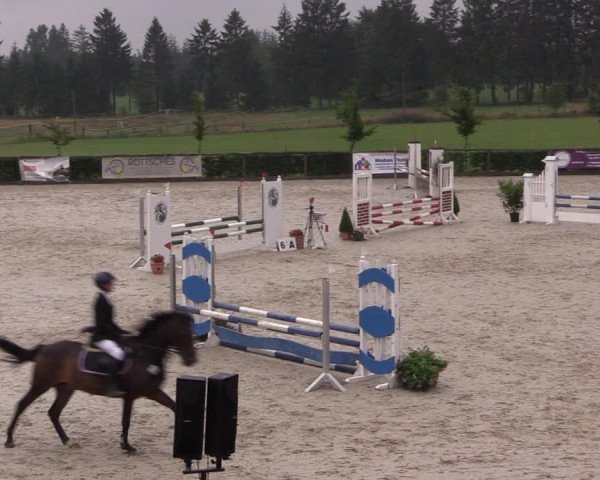 Reitturnier Monschau-Mützenich 2019